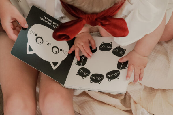 Hello-farm-baby-book-high-contrast